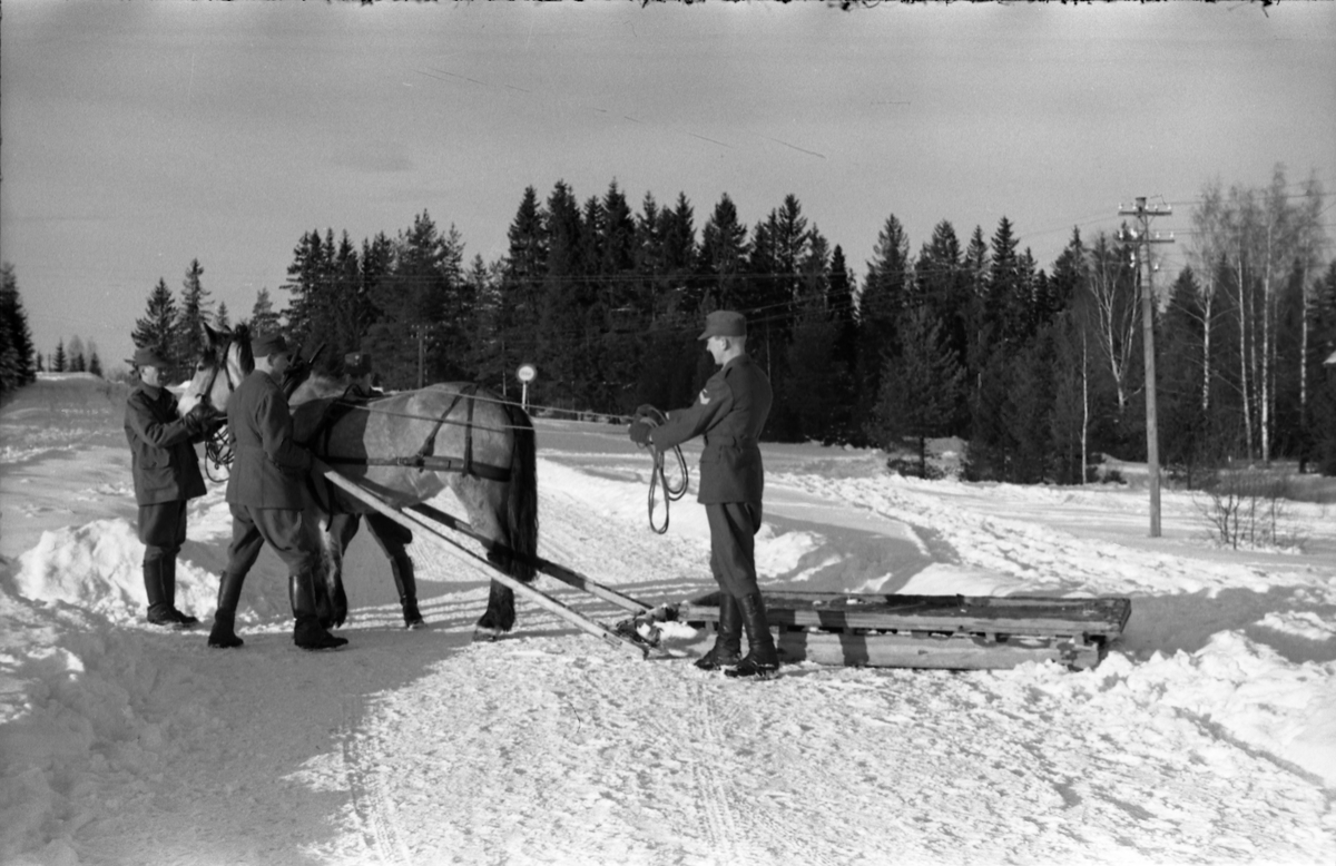 Seks bilder fra Hærens Hesteskole på Starum ca. årsskiftet 1957/1958. Noen av leirens befal viser hest og en slags slede. Personene er ikke identifisert.