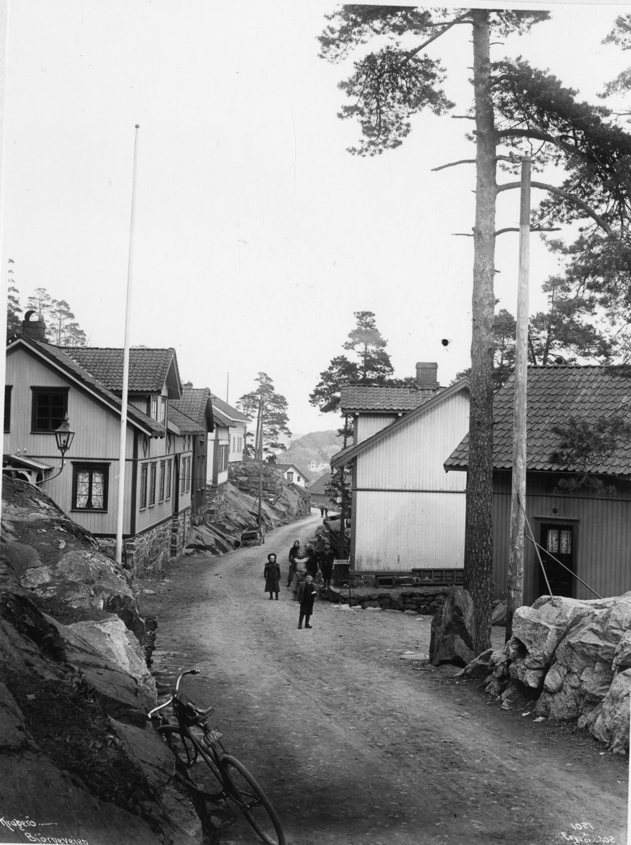 Biørneveien, ved Bjørnstadhuset. Kragerø 5/5-1902