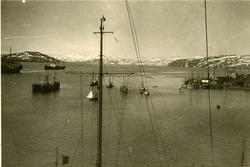 Kirkenes havn under krigen. utsikt ut Bøkfjorden. Havna  med