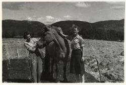To kvinner står på hver sin side av fjordhest