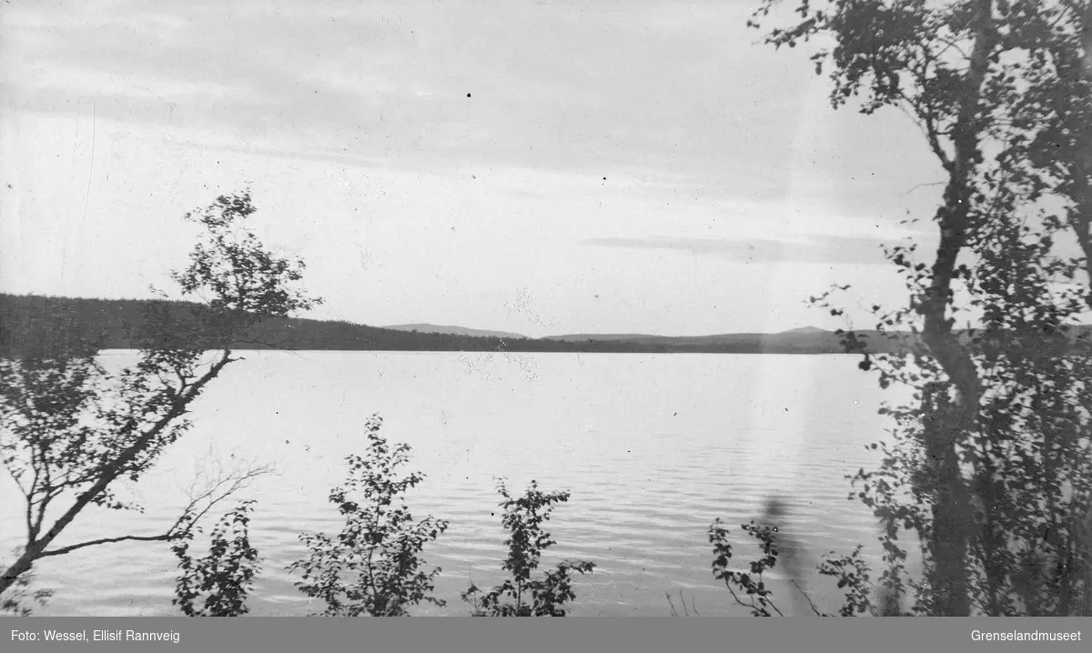 Utsikt over et vann i Pasvik, muligens Pasvikelva.