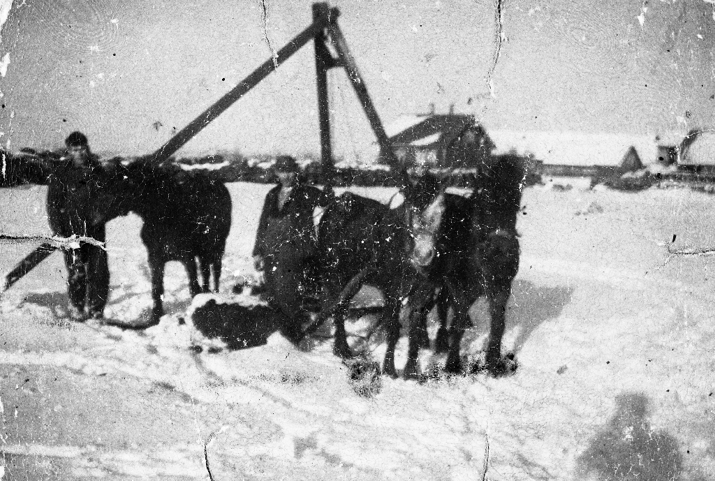 Steinkjøring i 1930 åra på Helland. Steinbukk i bakgrunnen. Kjøring av stein med hest og slede på snøføre. Personane er Bernhard Helland og Ragnvald Helland.