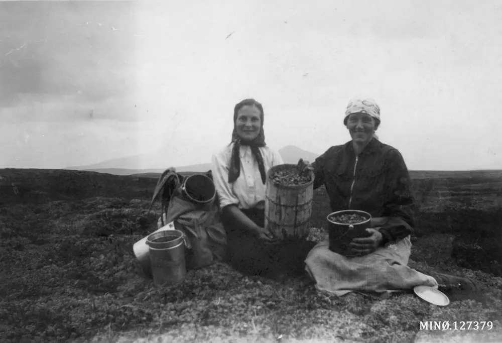 kvinner på bærtur