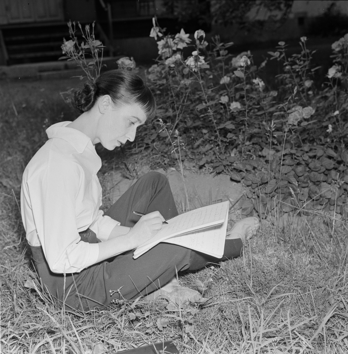 Författarinnan Sara Lidman sitter ute i gräset och skriver, Uppsala 1955