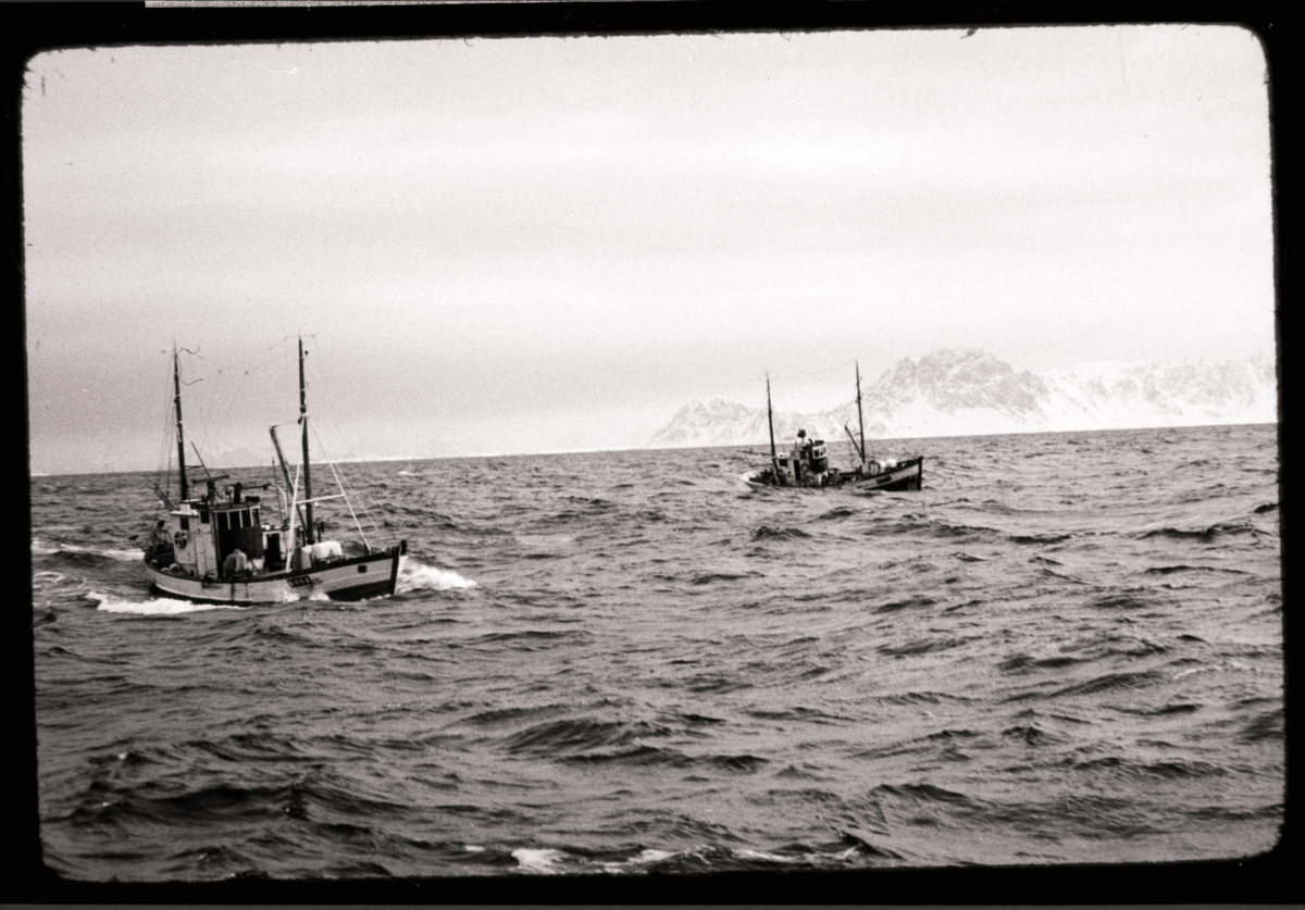 To fiskeskøyter på havet. Fjell i bakgrunnen. SørTroms Museum