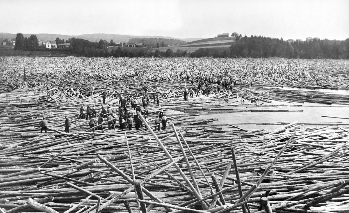 Foto av store mengder tømmer som fullstendig dekker elva, og mennesker som jobber på tømmeret.