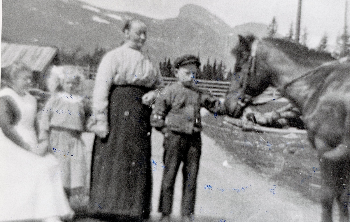 Med hesten frå h. Nils Granheim,Birgit Bjøbrg Granheim,Ragnhild Granheim og ei tenestejente.
Storehorn i bakgrunnen.