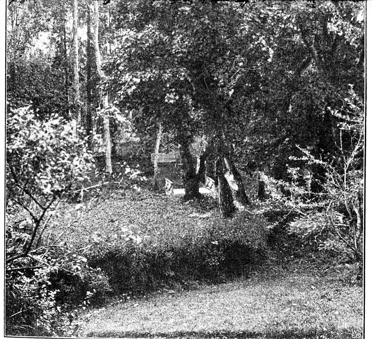 Avfotografert illustrasjon fra Jens Raabes bok "En storbygd. Kulturskildringer fra Toten." som kom ut i 1905. Dette bildet er fra parken på Stenberg.