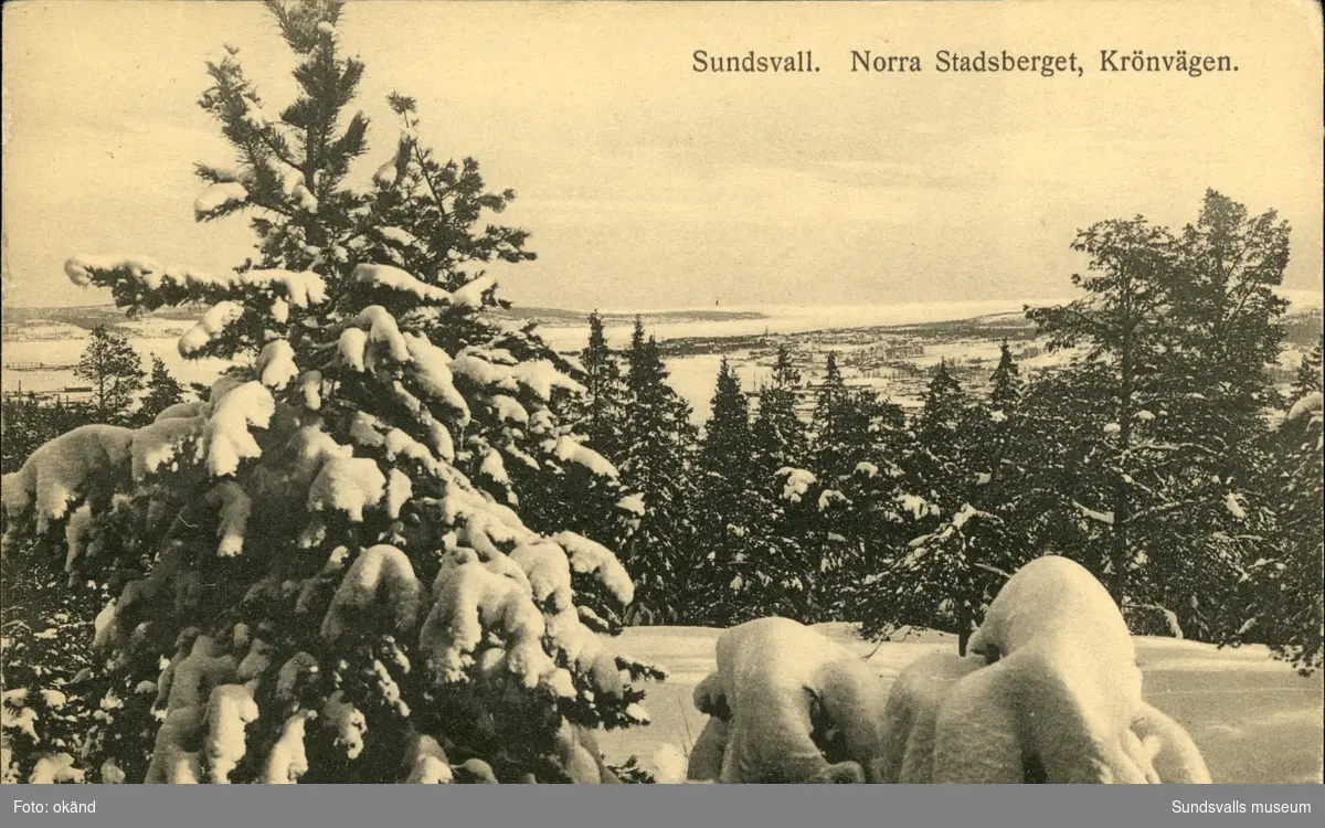 Vykort med motiv över Sundsvall från Krönvägen.