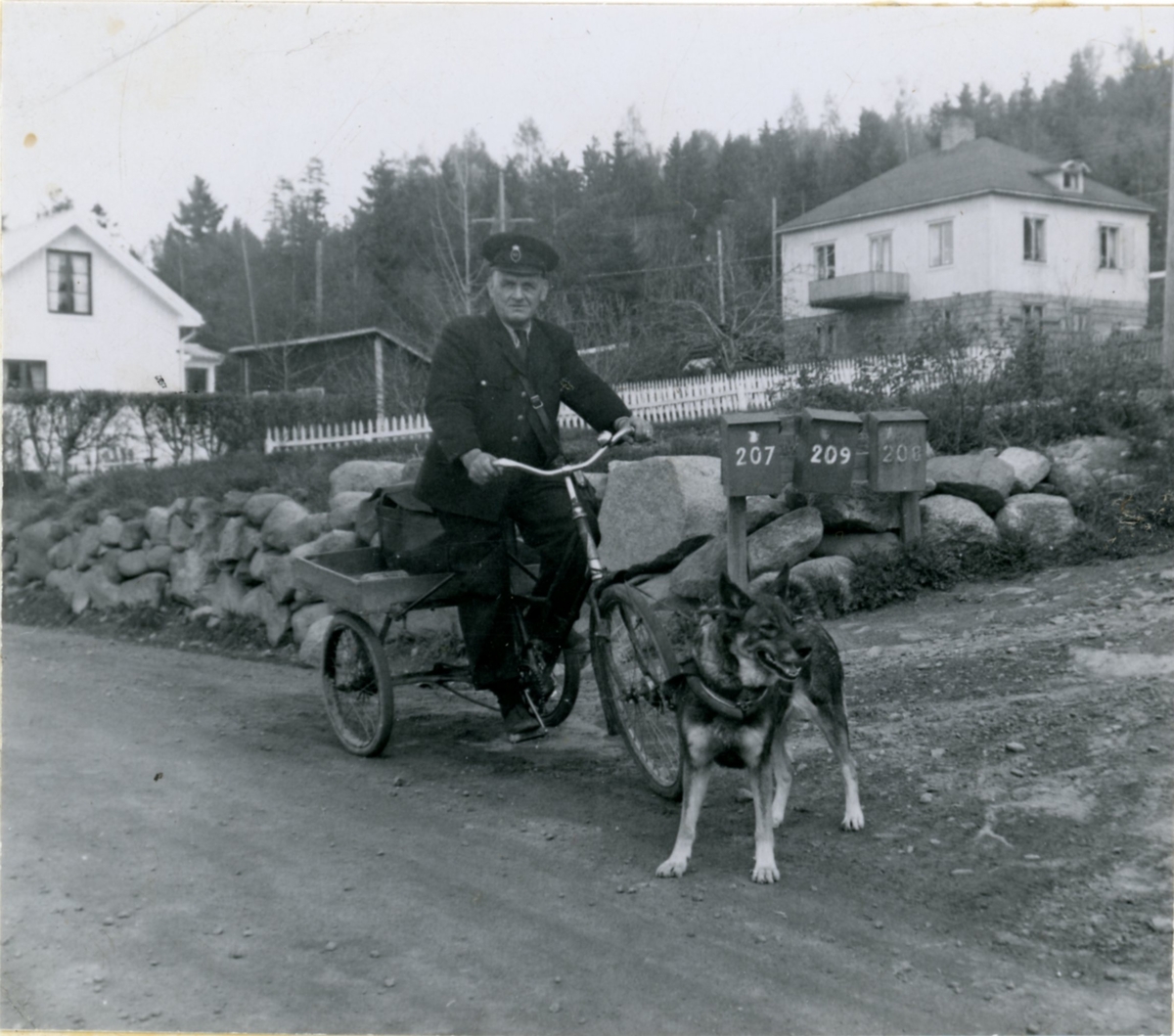 Lantbrevbärare J.E. Melander med den assisterande hunden Klinga