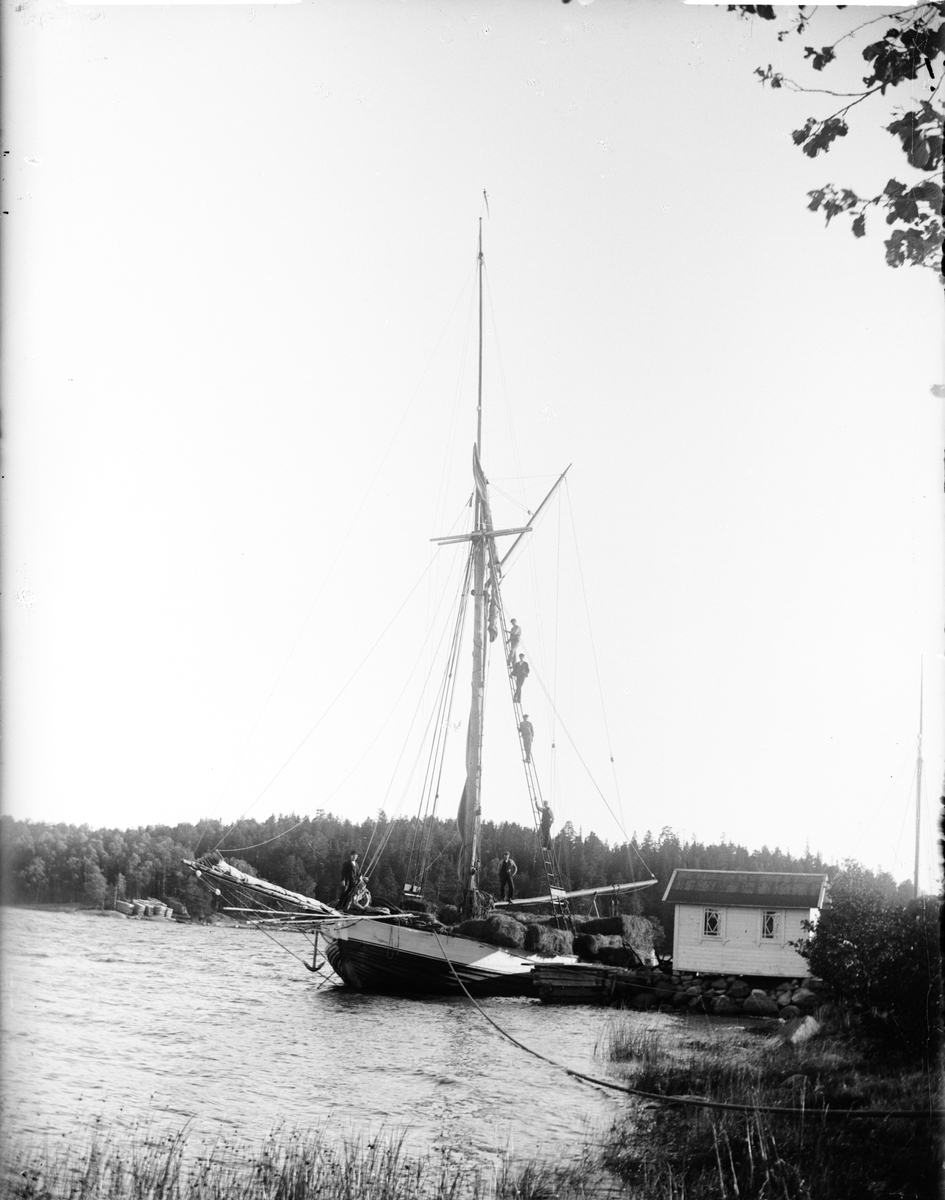 Män på segelbåt lastad med balar, Östhammar, Uppland 1902