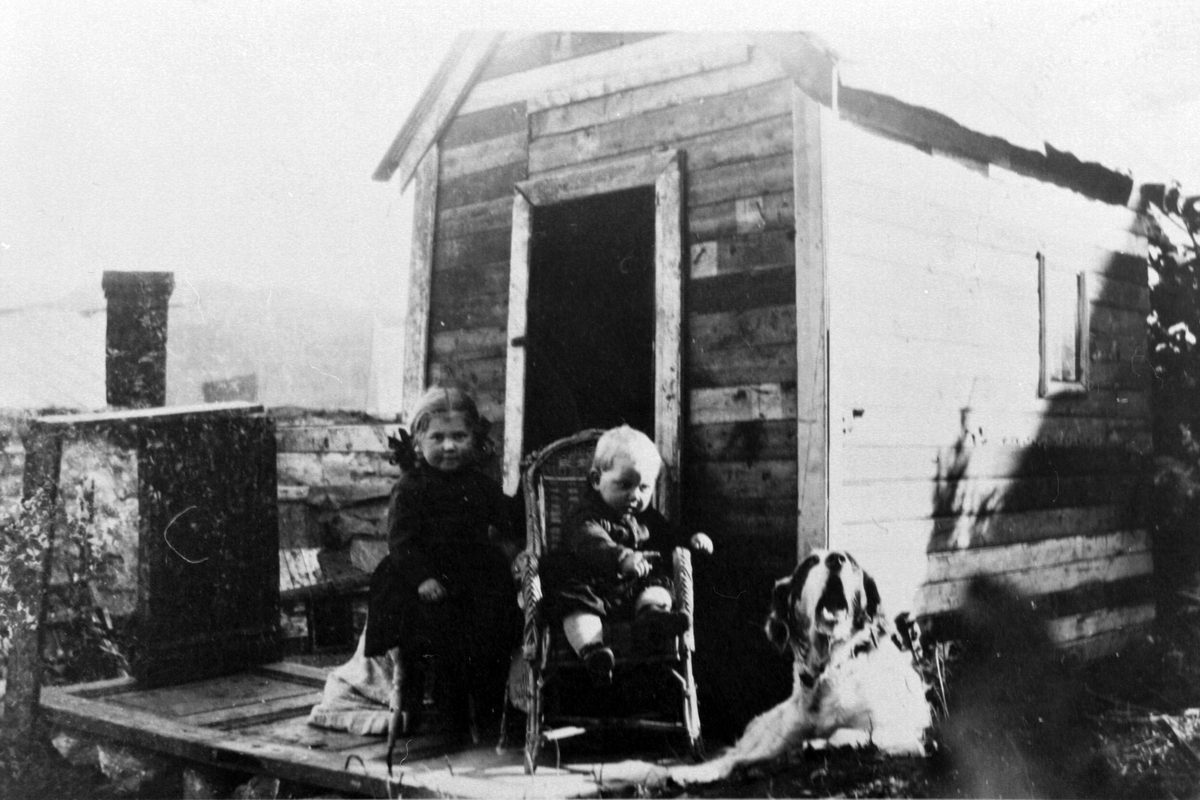 To barn og en hund på trammen til et lekehus.