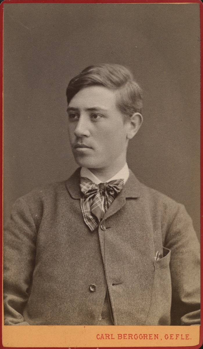 Mansporträtt, 1884.
Sannolikt Pelle Swedlund som ung.