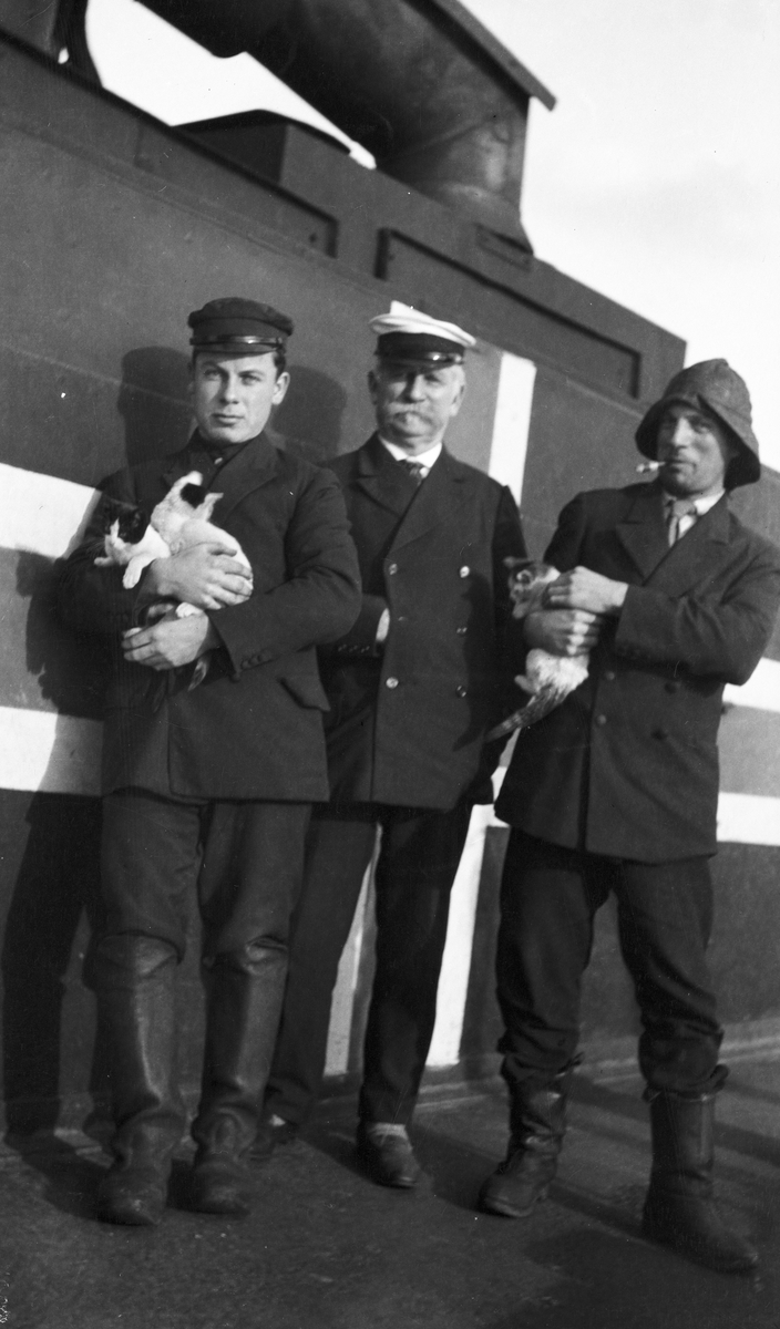 Brødrene Waage holder på kattunger, kaptein Waage i midten. De er avfotografert midskips på DS STORFOND, foran norsk nøytralitetsflagg.