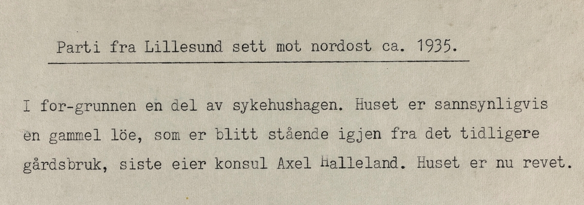Parti fra Lillesund sett mot nordøst, ca. 1935.