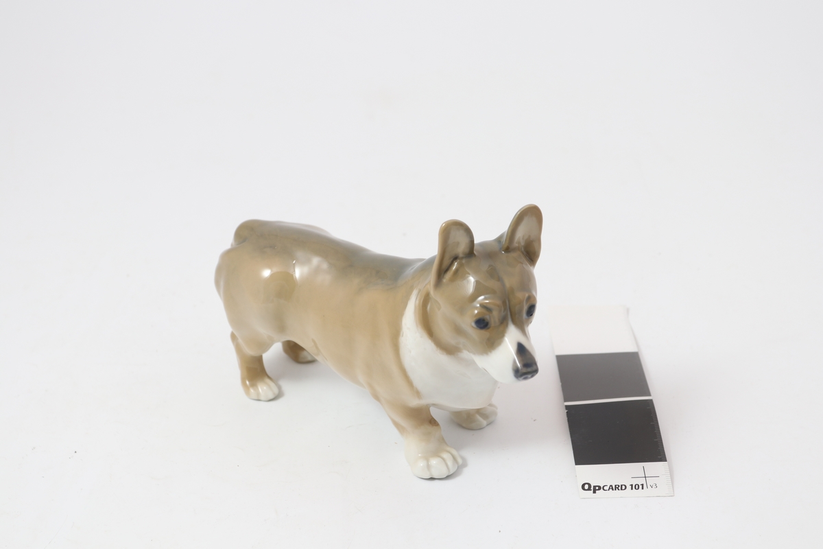 Figur i porselen, formet som en mindre hund i brunt med hvit hals og underside. Produsentstempel på undersiden.