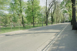 Oslo: Parkveien. 3. juni 1996.