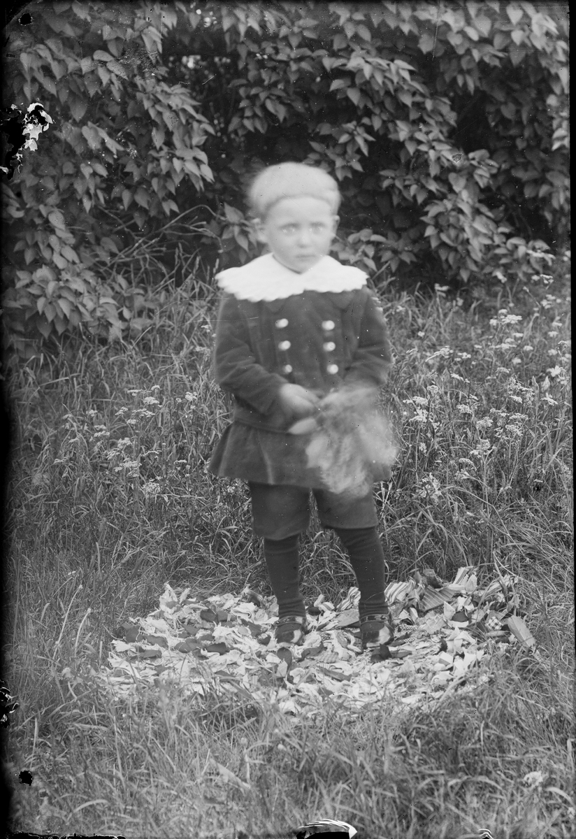 Pojke i trädgård, Alunda, Uppland