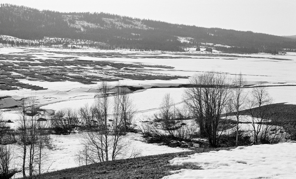 Tømmertillegging på snø og is i Sjøenden, altså i den søndre enden av Osensjøen, også kjent som Søre Osen i Trysil kommune. Fotografiet ble tatt vinteren 1960 fra en posisjon på østsida av sjøen, i nærheten av garden Østenheden. Vi ser over den islagte og snødekte sjøen mot gardsbrukene Farmen og Slettum på den andre sida. Tømmeret lå i «flaker» eller «floer» - tette parallelle lag - med vinkelrett på et par underlagsstokker som skulle forebygge at tømmeret ble nedfrosset om det skulle komme overvann på isen i løpet av ettervinteren og våren. Hvis alt gikk som det skulle, ble dette tømmeret løftet av vannspeilet når våren kom. Deretter ble det samlet i ringbommer og buksert nordover mot Osensjøens avløp, elva Søndre Osa, ved hjelp av slepebåten Trysilknut. Tømmeret ble kjørt til Sjøenden fra omkringliggende skoger, for i denne enden av Osensjøen var det ingen godfe fløtingsvassdrag som førte mot sjøen. I 1960 kan nok noe av virket ha kommet østfra på lastebiler også, for bedriftene ved den nedre delen av Glommavassdraget betalte gjennomgående bedre for fløtingsvirket en treforedlingsindustrien i Värmland, som fikk mye av sin råstofftilførsel via Trysilelva (Klarälven).