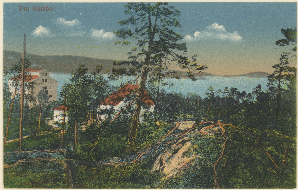 Kambo Mølle, ca. 1910. Kolorert postkort, 
Detaljer: Jeløy i bakgrunnen. Funksjonærboliger.
Tekst på bildet: "Fra Kambo".