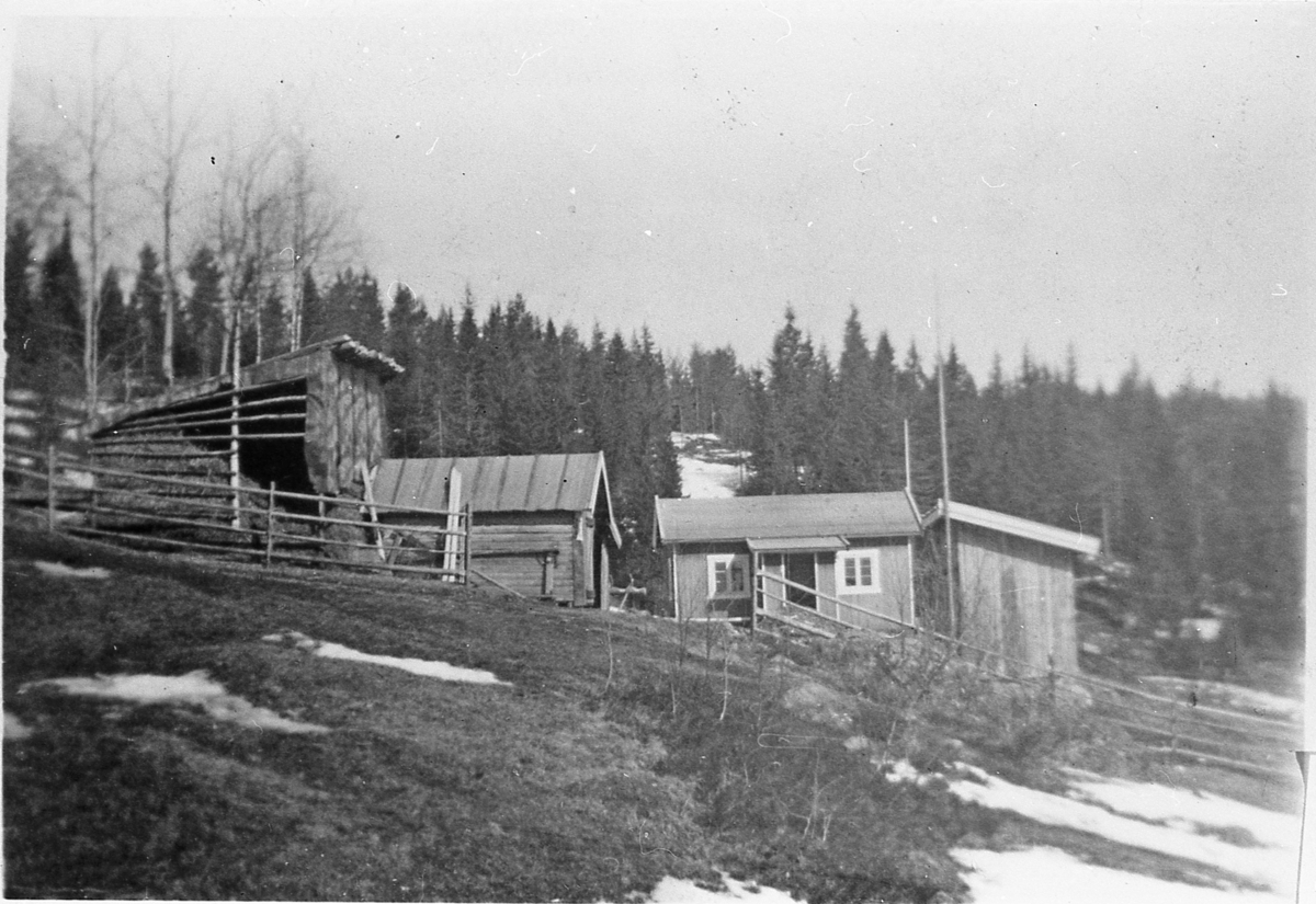 Vang ved Nordli, ca. 1955.