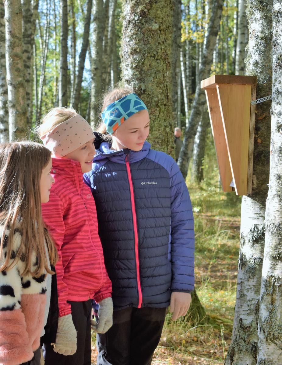 Foto av tre barn som leser natursti ute i skogen