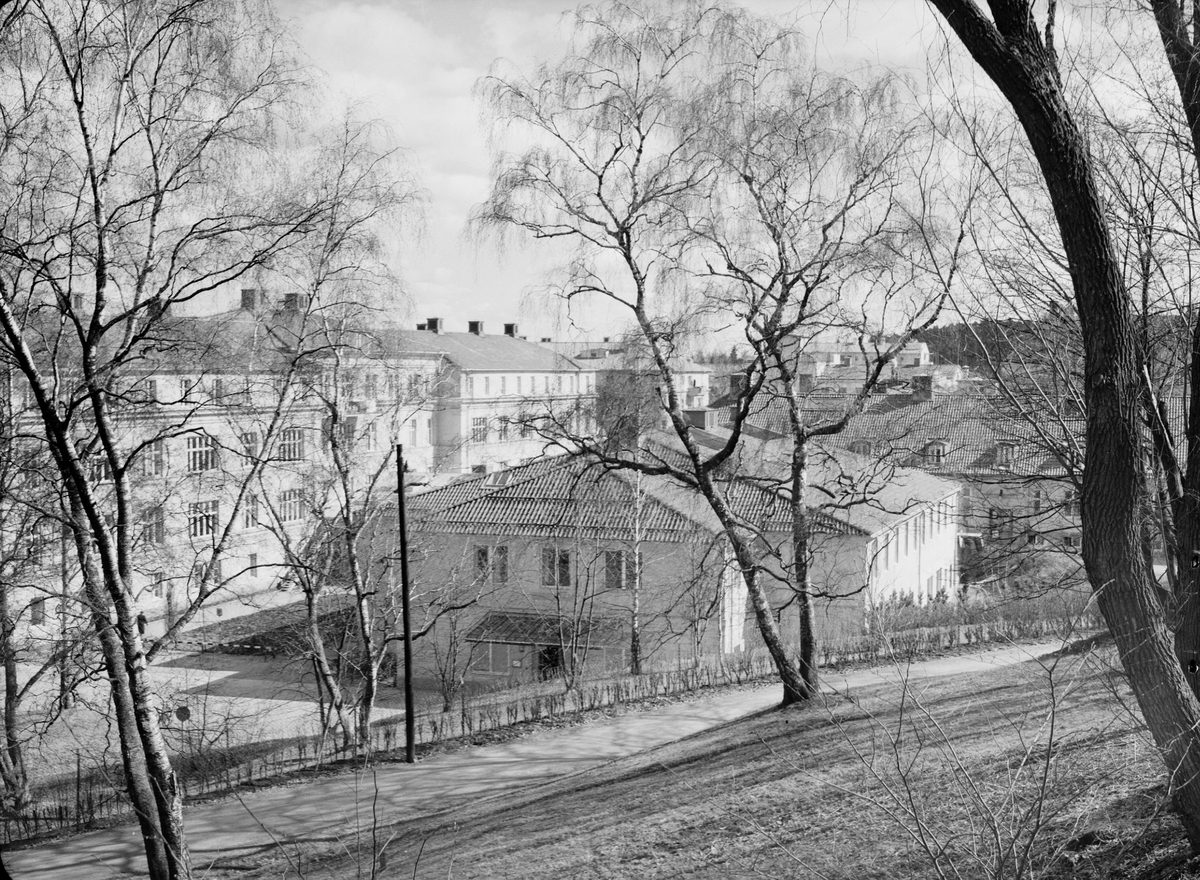 Sottsbacken, Uppsala 1955