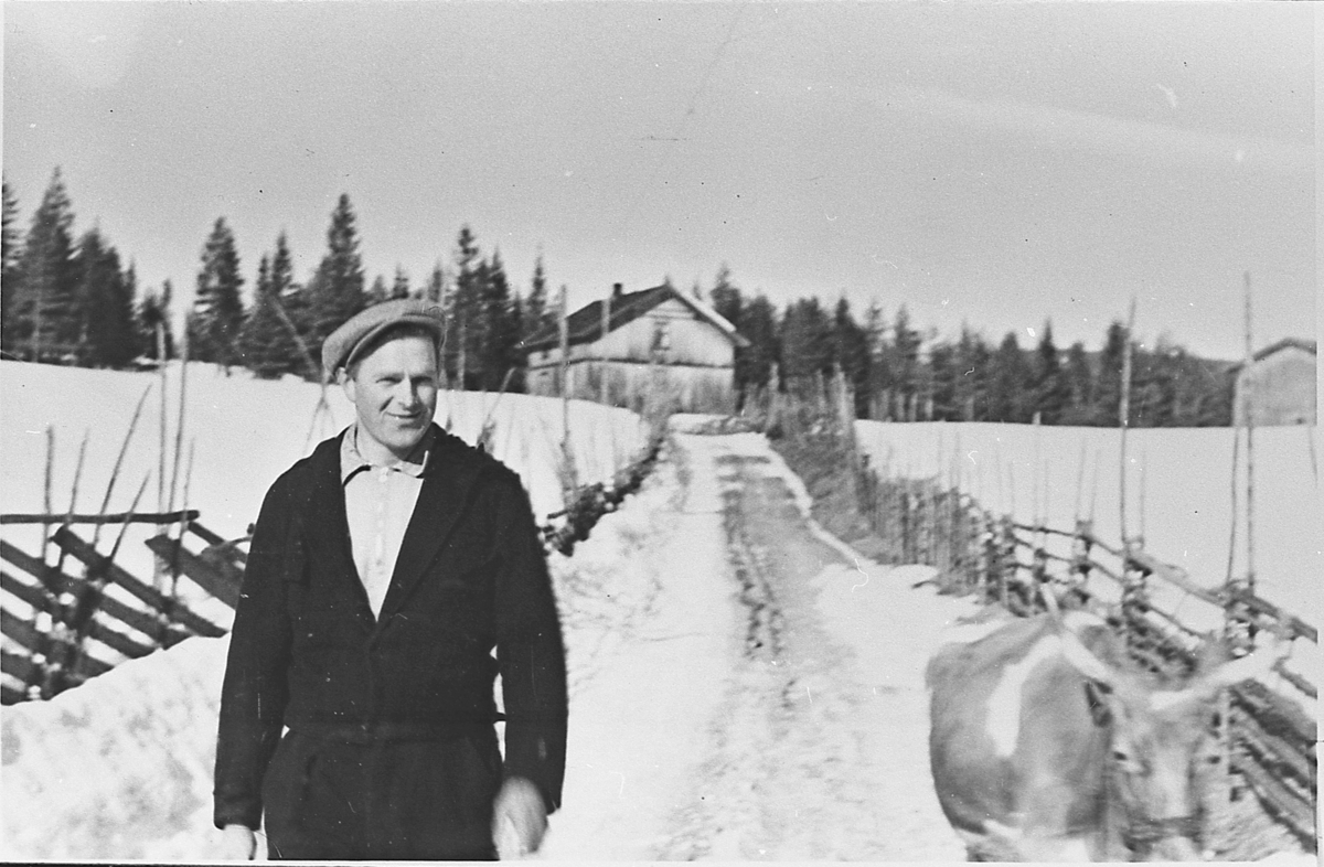 Kristian Flaget med "oksku" på vei til "Sundegreen",  ca. 1942.