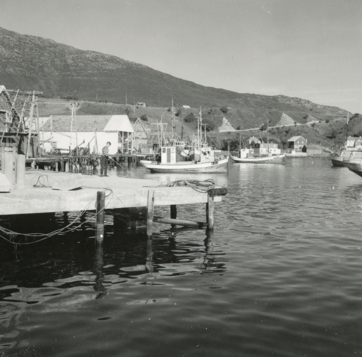 Prospektfotografi med oversikt over havna med båter og fiskebruk på Godøy, Giske.