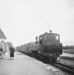 Damplokomotiv XXIXb nr. 7 PRYDZ med tog til Skulerud på Lier