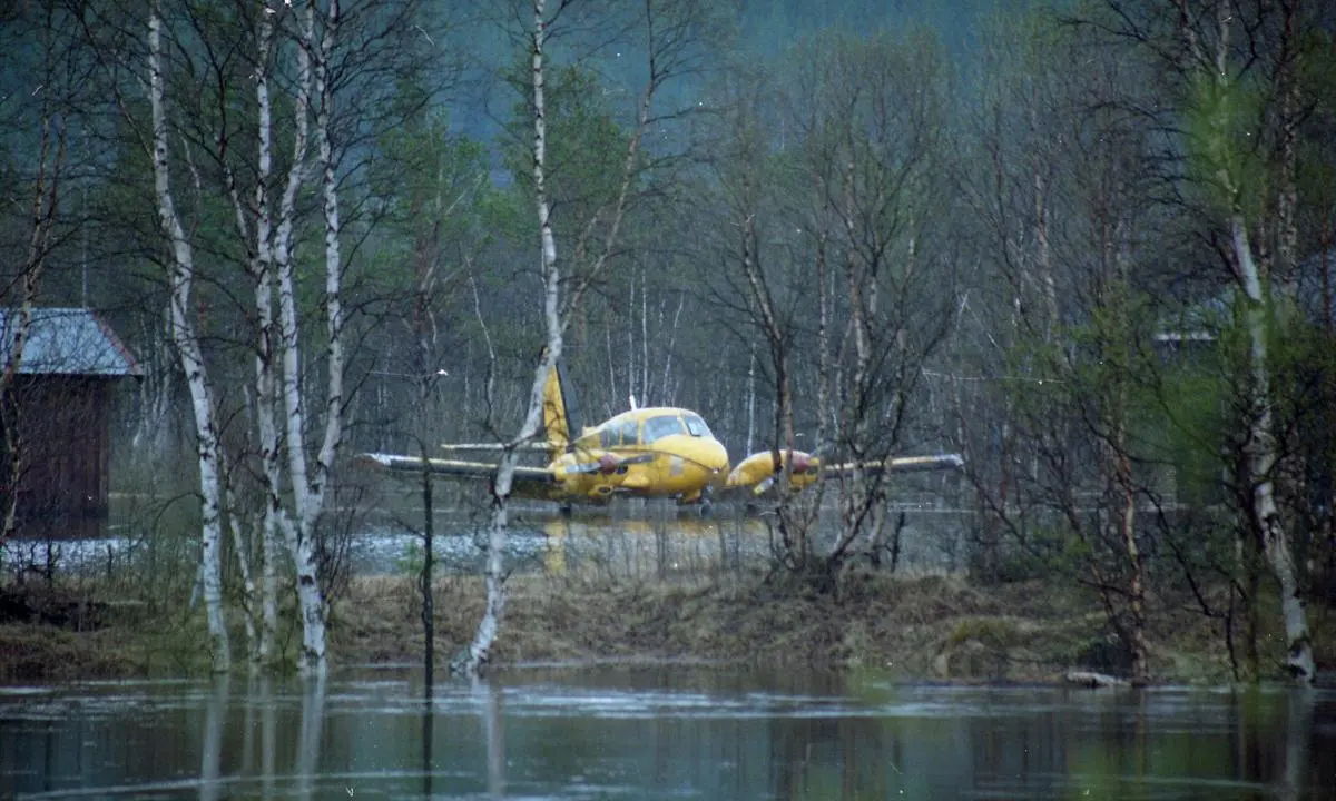 flombilde 1995