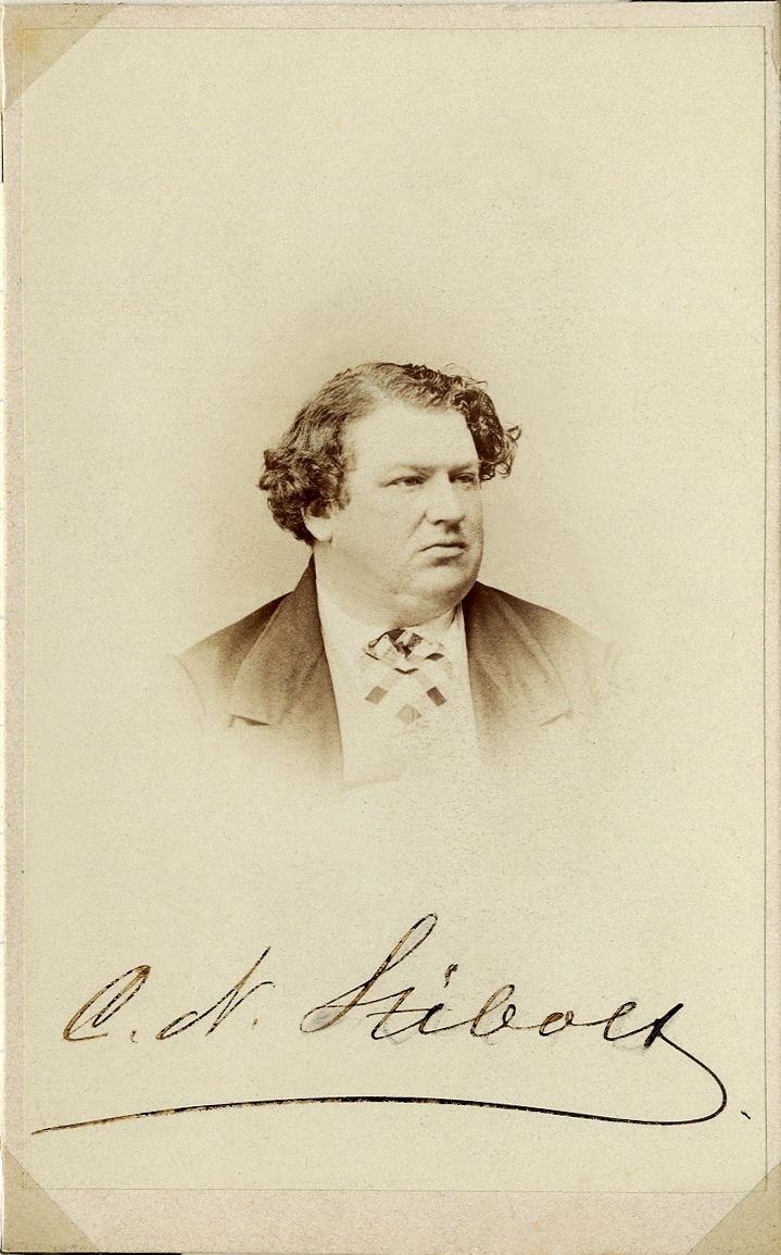 Porträttfoto av en man i kavajkostym med stärkkrage och storrutig kravatt. Under fotot en autograf (något otydlig): "C.N. Stibolt". 
Bröstbild, halvprofil. Ateljéfoto.
