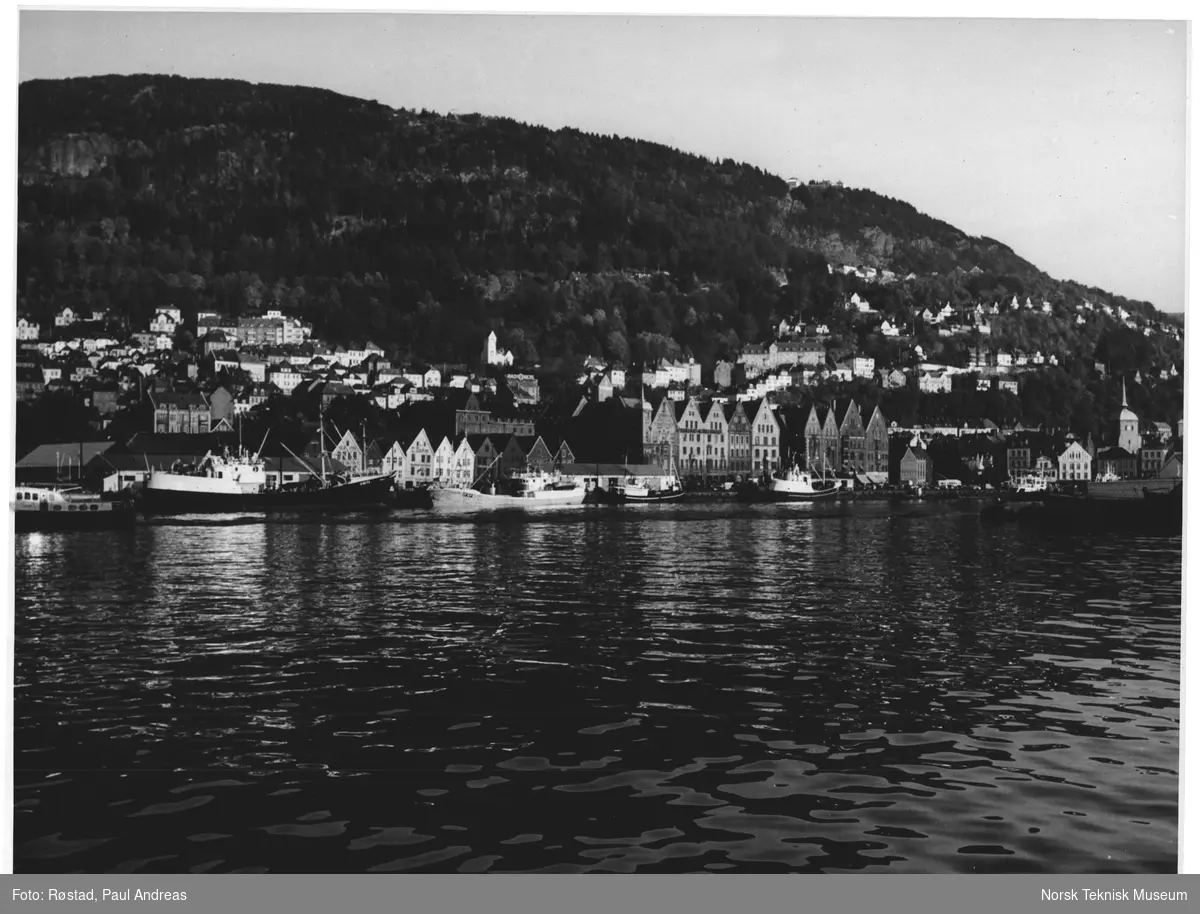 Bergen, Vågen mot Tyskerbryggen, Fløifjellet