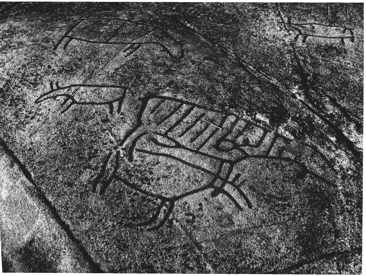 4000 år gl. Helleristninger ved Etna i N. Sinni