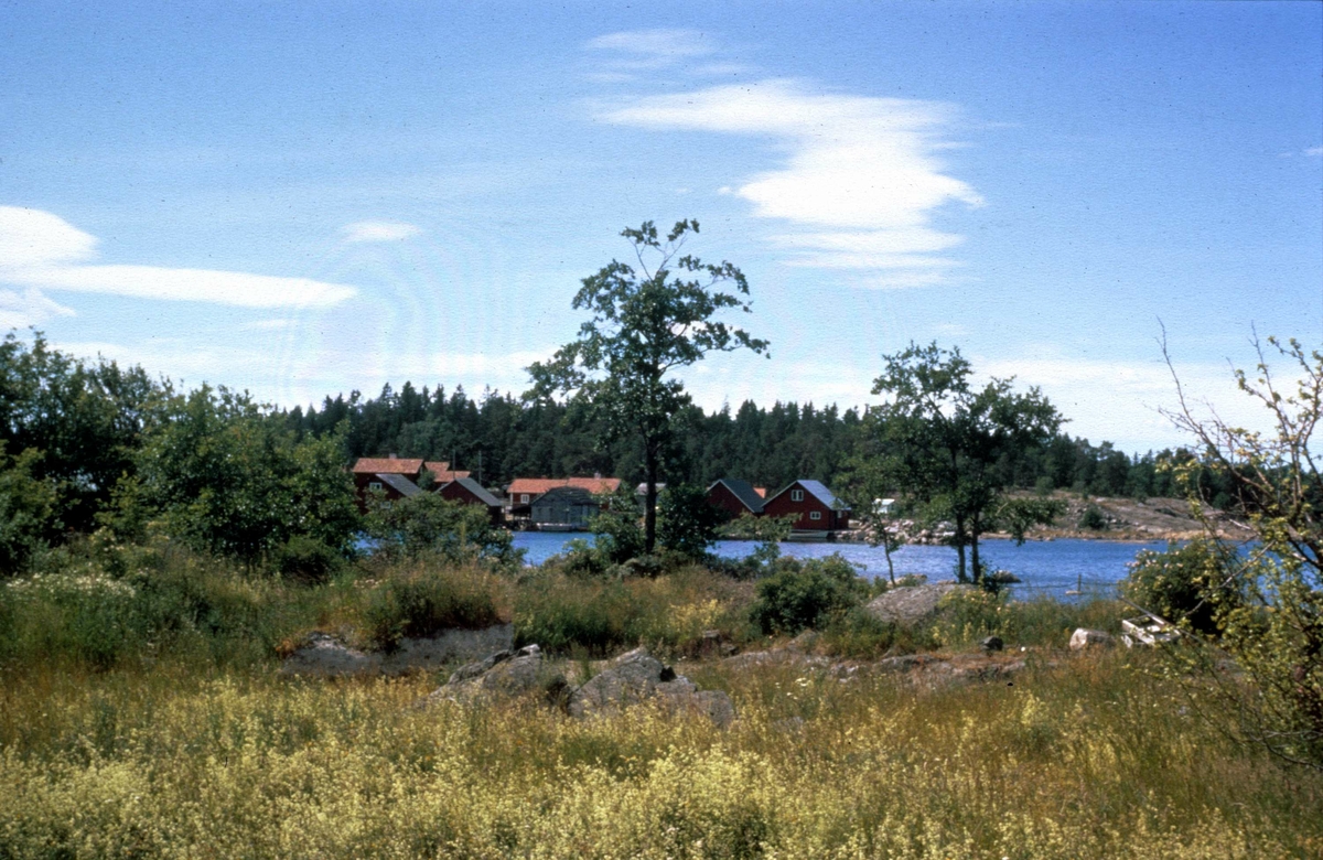 Fågelsundets fiskeläge från öster, Hållnäs socken, Uppland 1971