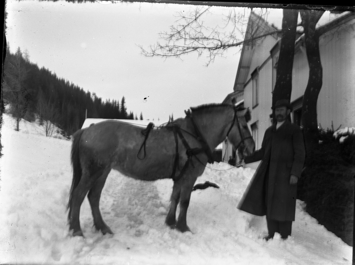 Fotosamling etter Bendik Ketilson Taraldlien (1863-1951) Fyresdal. Gårdbruker, fotograf og skogbruksmann. Fotosamlingen etter fotograf Taraldlien dokumenterer områdene Fyresdal og omegn. 
Portrett av Rustøyl med hest (Norsk fjordhest) ved Taraldlien.