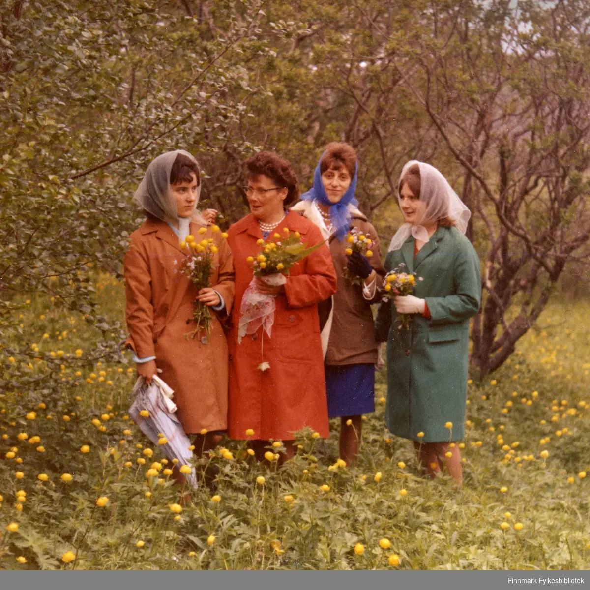 Sonja, Berit, Kirsten og Solveig har plukket ballblom (Trollius europaeus) og poserer i sine fine 50-tallskåper og chiffon-skjerf i Tana i 1964. Bildet er fra et privat album tilhørende Vuolab-familien.