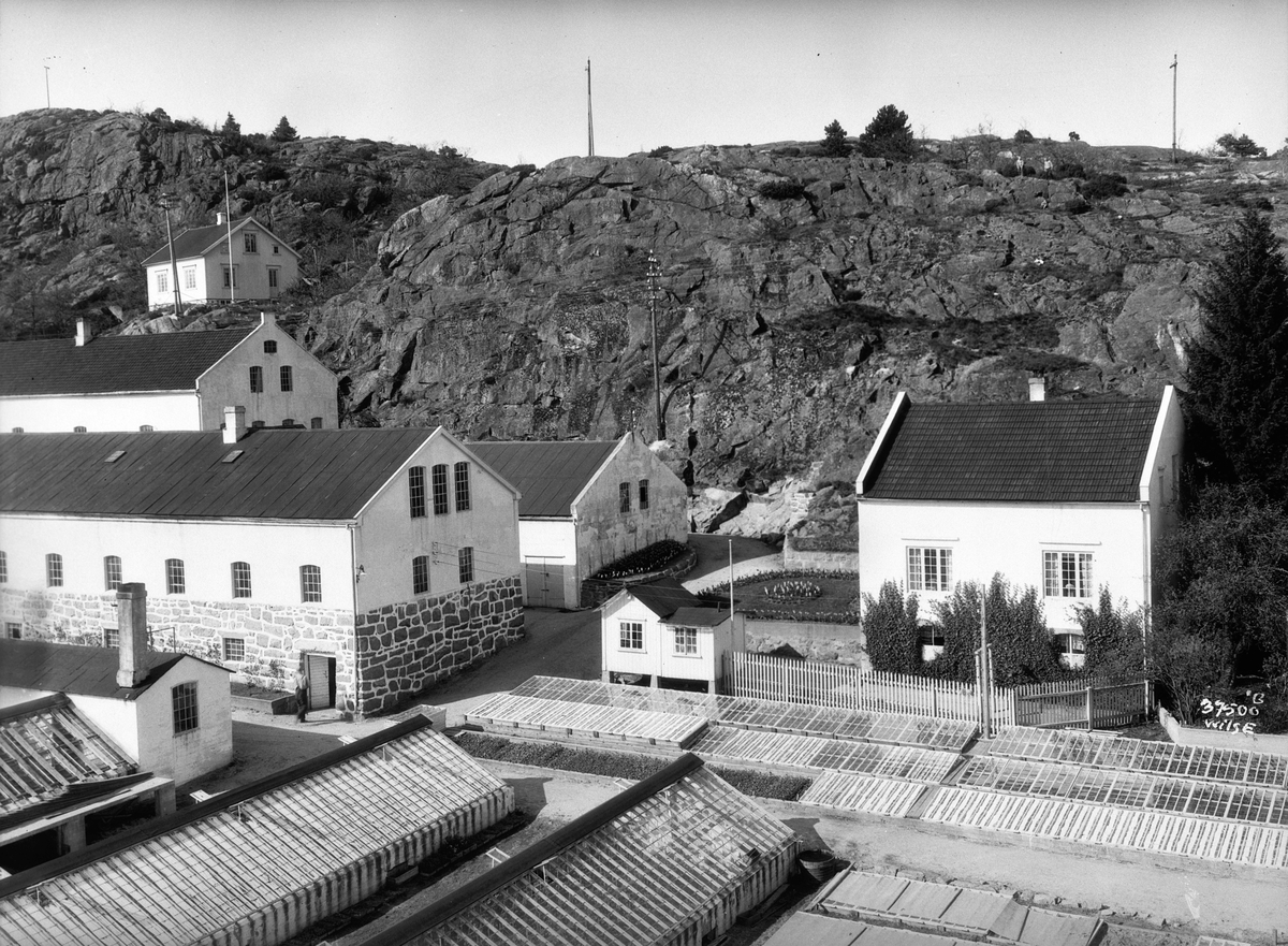 Bygninger ved Grimstad Gartneri. Grimstad.