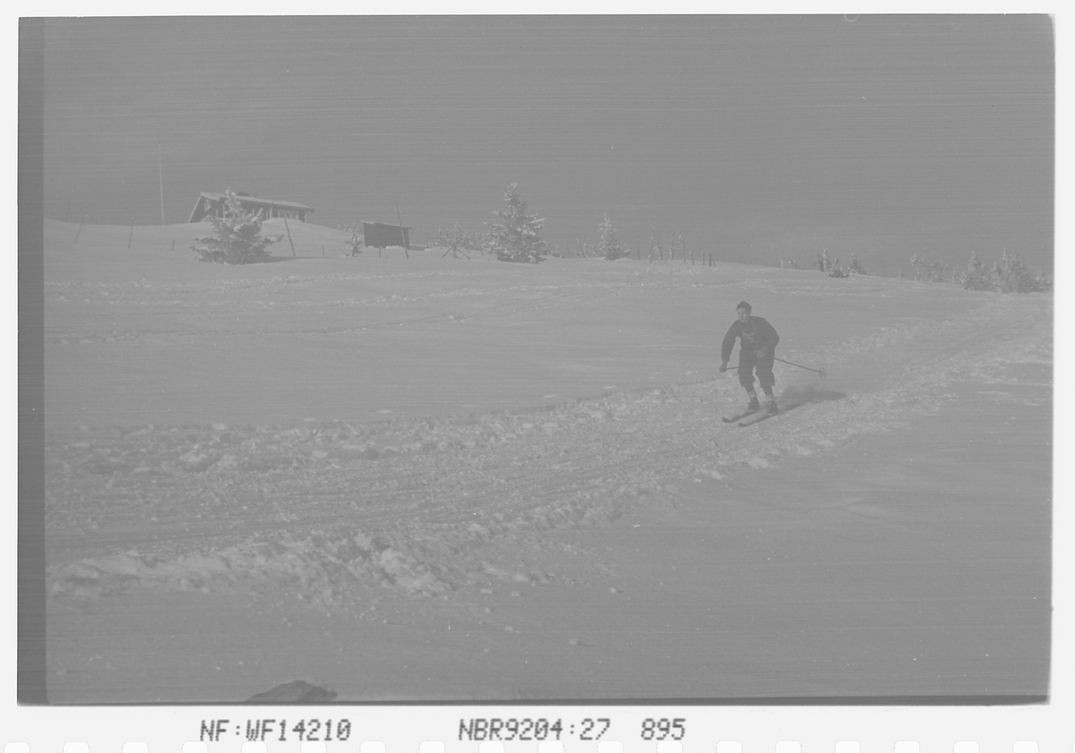 Skiløper i utforbakken på Norefjell, Krødsherad, Viken. Fotografert 1941.