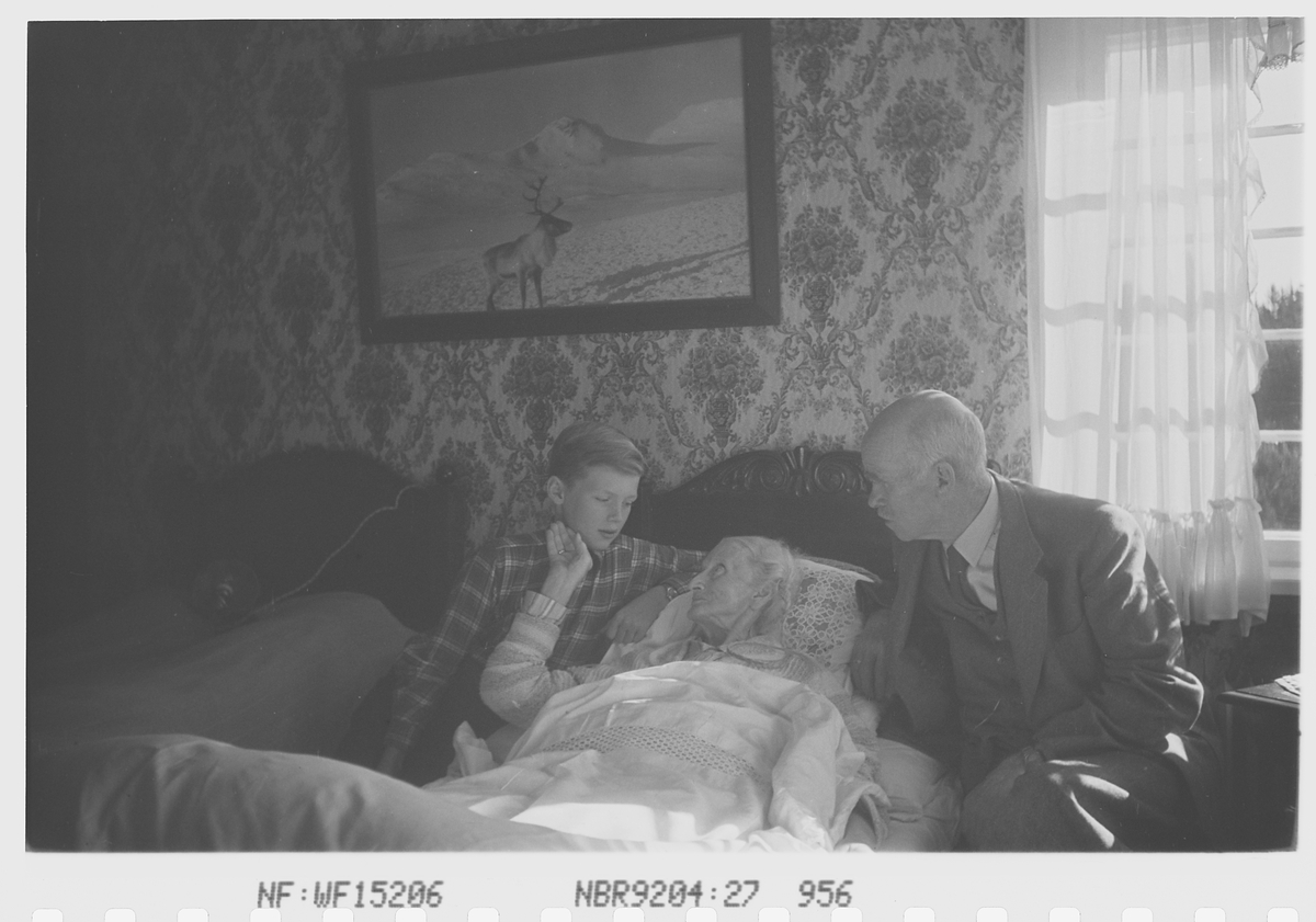 Antatt Anders Beer Wilse sammen med sønnen Robert Charsel, og hustru Helen Marie Wilse født Hutchinson i sengen. Fotografi av reinsdyr på veggen. Fotografert 5.august 1941.
