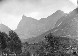 Prot: Nordfjord Horndalsrokken
