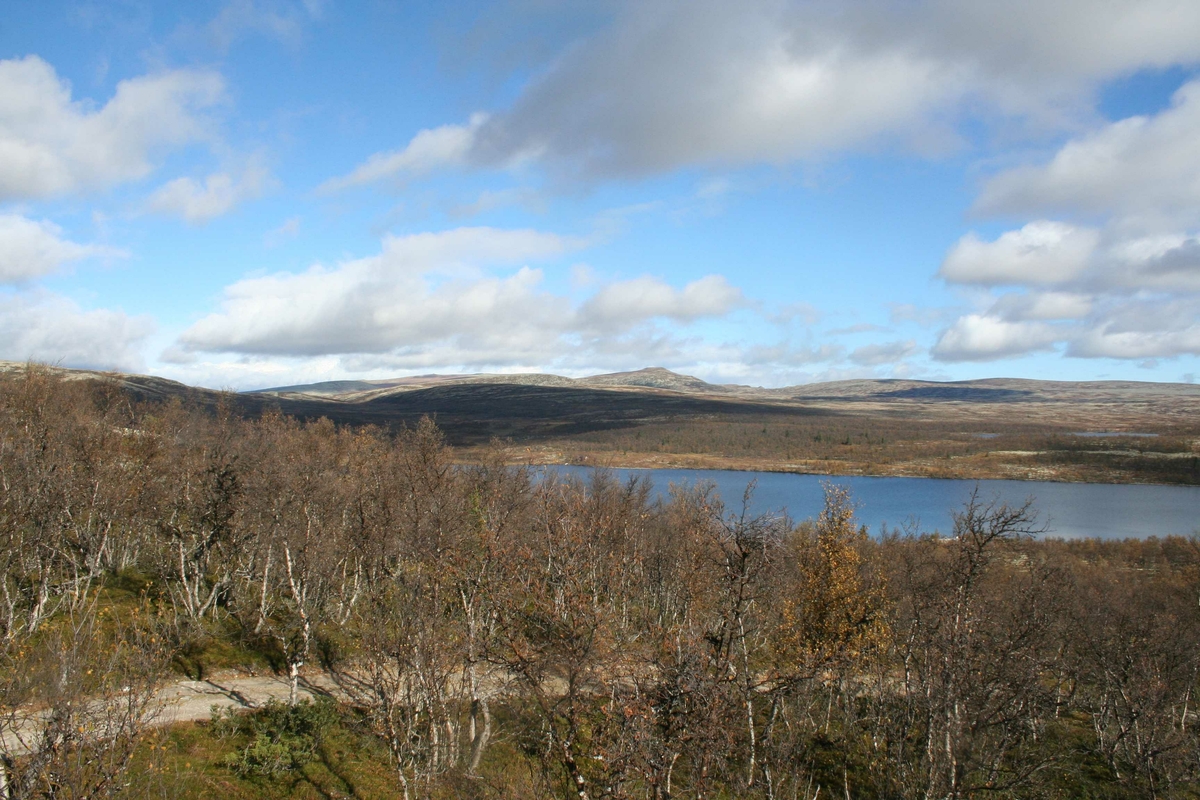 Gråsjøen, Stor-Elvdal