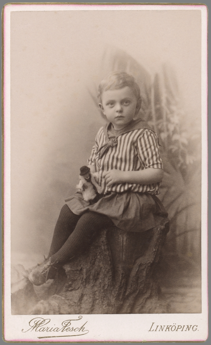 Bedårande porträtt av gossen Birger Planck. Född i Stockholm 1888 hade han följt sina föräldrar till Linköping 1890, där fadern erbjudits tjänst vid stadens läroverk. Familjen bodde kvar i Linköping till 1902 då de åter flyttade till Stockholm.
I vuxen ålder kom han att arbeta som ingenjör vid Graversfors masugnar i Kvillinge.