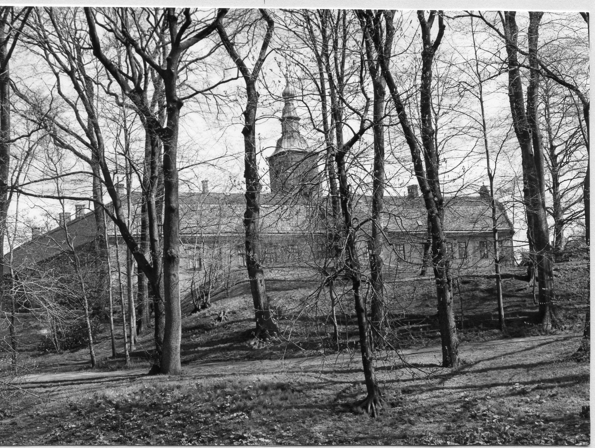 Halmstads slott. Slottsparken. I förgrunden murlämningar, som delvis döljer en kasematt. Foto från nordväst.