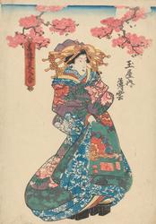 Kurtisanen Usugumo fra tehuset Tamaya [Grafikk]