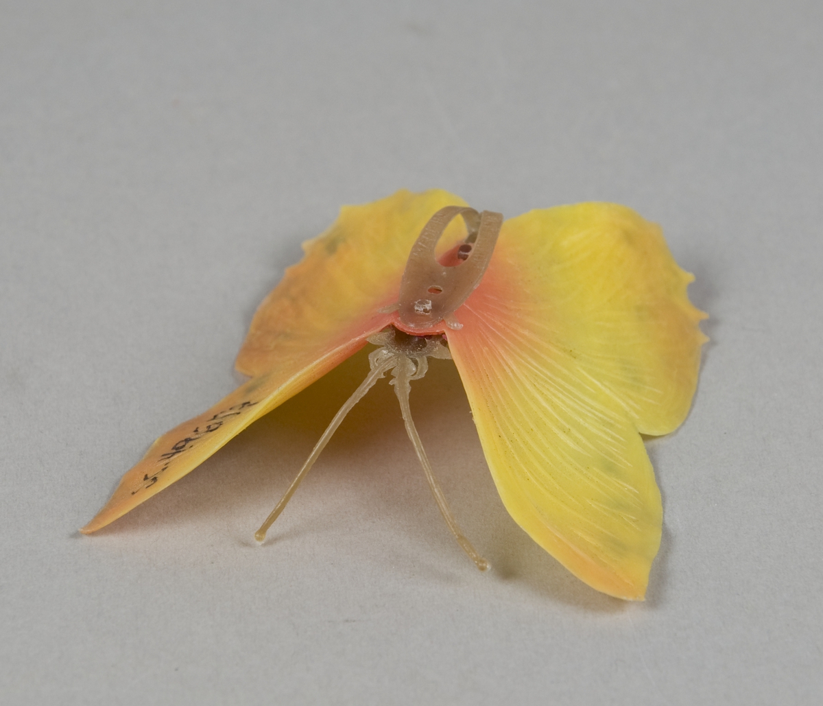 Hårspenne av plast formet som en sommerfugl. Selve hårklemmen sitter under sommerfuglkroppen.