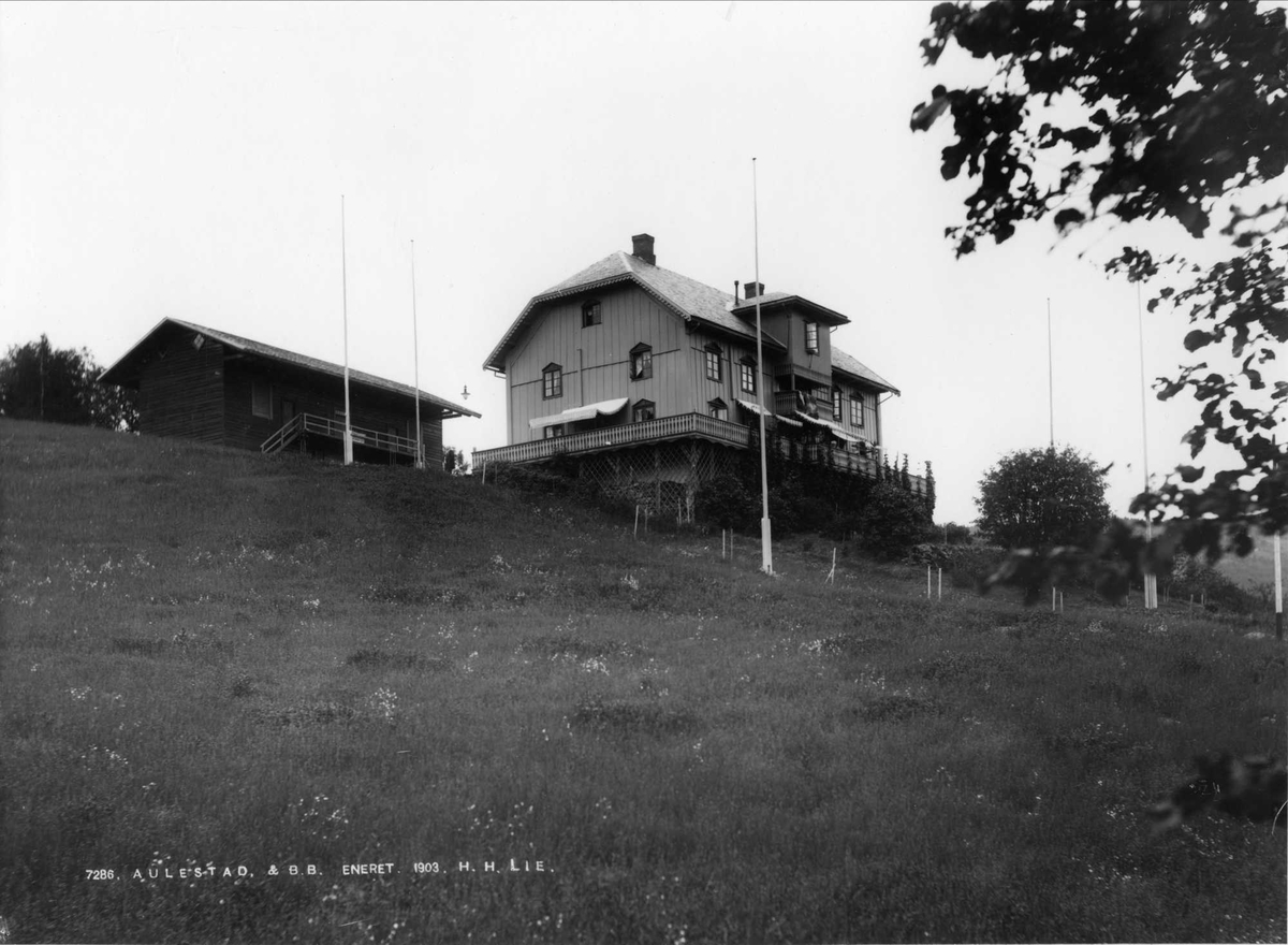 Aulestad, 1903, hovedbygning, drengestua, humle, kort, 