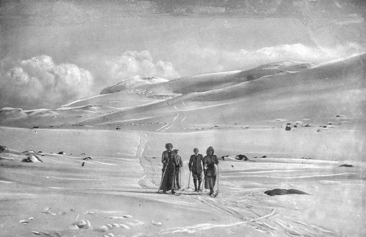 Fire skiløpere på høyfjellet, vinter




















