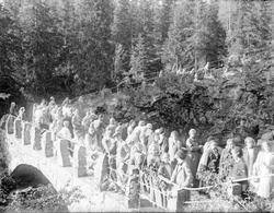 Mesnaelva. Colletts bru. Mennesker. Aftenpostens tur. A-maga