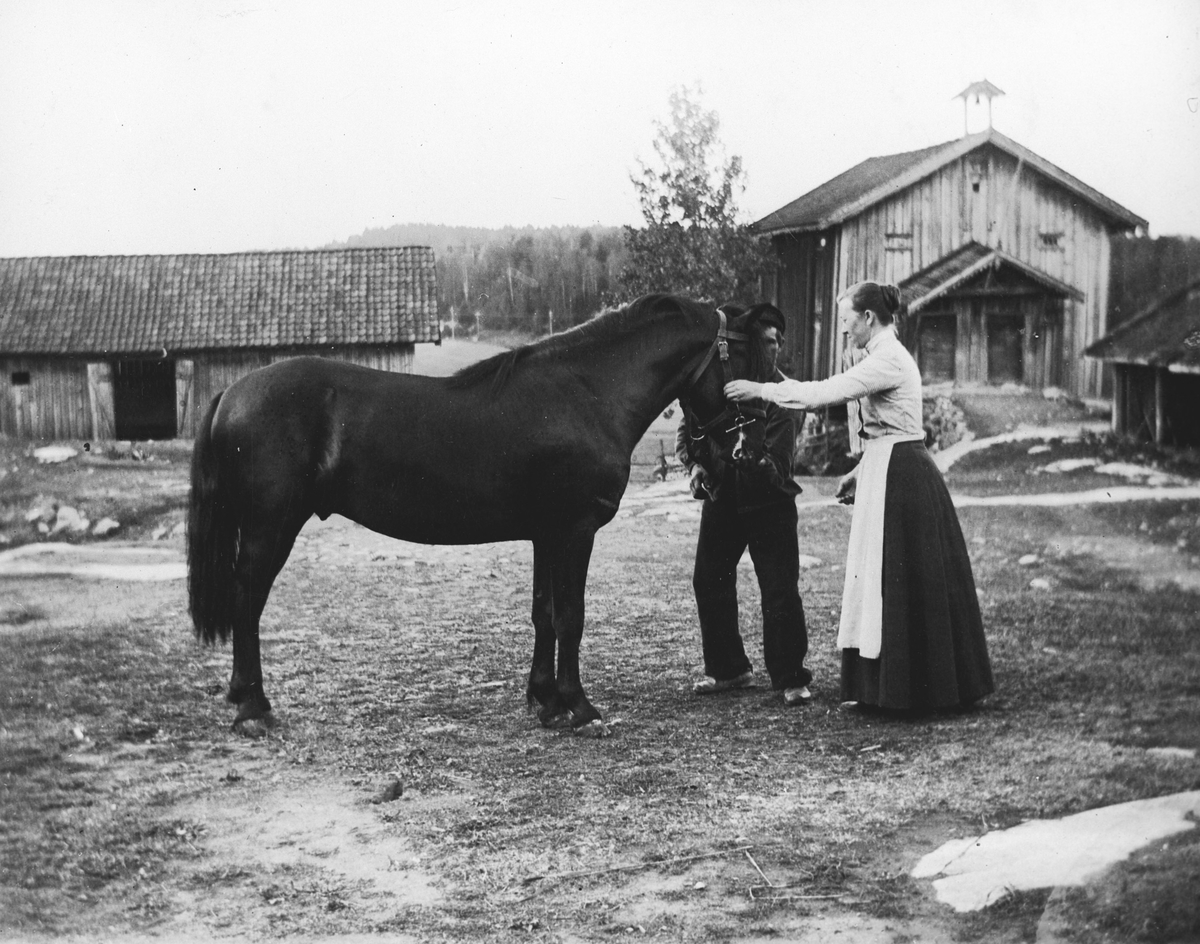 Kvinne og mann med hest på gårdstun. Tunet på vestre Greverud gård. Solverius, Skippern og Antonette Skjerven.